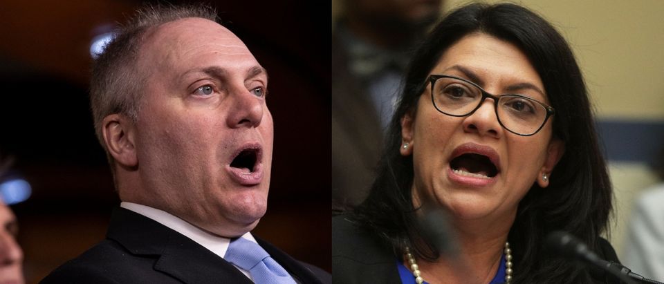 House Minority Whip Steve Scalise is anti-BDS, while Rep. Rashida Tlaib is pro-BDS. Drew Angerer/Getty Images and Alex Wong/Getty Images