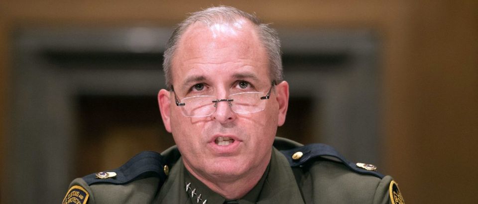 Mark Morgan, chief of the US Border Patrol, testifies at a Senate Homeland Security and Governmental Affairs Committee hearing on "Initial Observations of the New Leadership at the US Border Patrol" on Capitol Hill in Washington, DC, on November 30, (NICHOLAS KAMM/AFP/Getty Images)