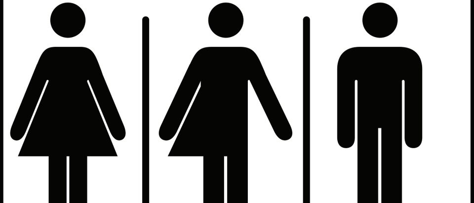 Gender Signs (Shutterstock)