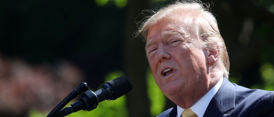 U.S. President Donald Trump speaks about expanding healthcare coverage for small businesses in the Rose Garden of the White House on June 14, 2019 in Washington, DC. (Mark Wilson/Getty Images)