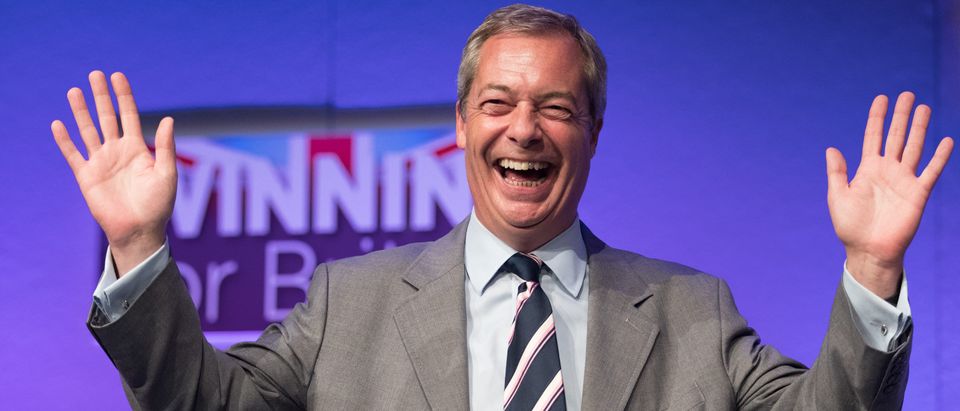 UKIP Announce Their New Leader At Party Conference