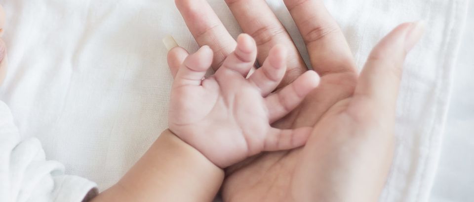 A parent holds a newborn's hand. Shutterstock image via paulaphoto