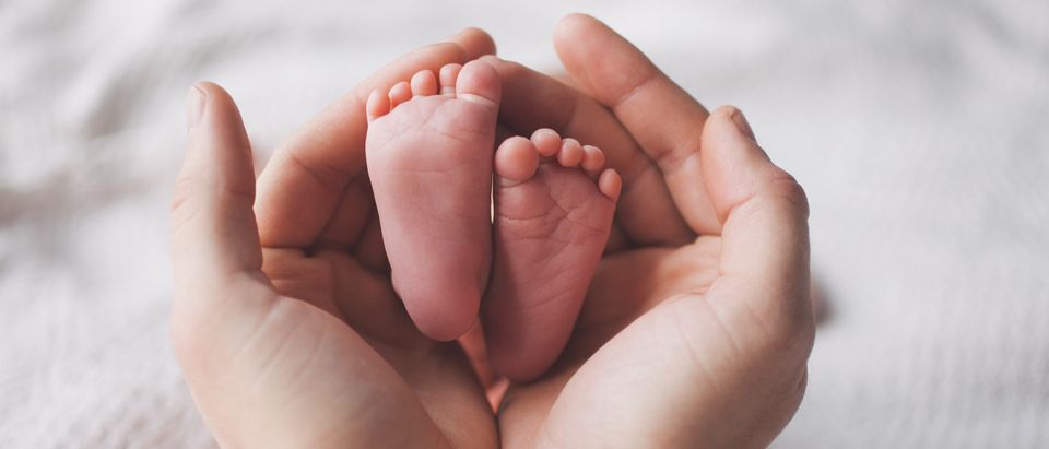 A baby's feet (MakeStory Studio/Shutterstock)