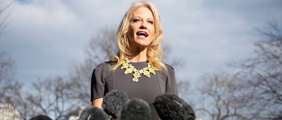 President Donald Trump, Kellyanne Conway speaks to the press outside the West Wing of the White House in Washington, DC, on January 9, 2018