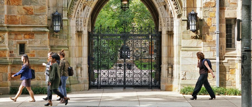Yale professor sexually assaulted five girls. Helioscribe, Shutterstock