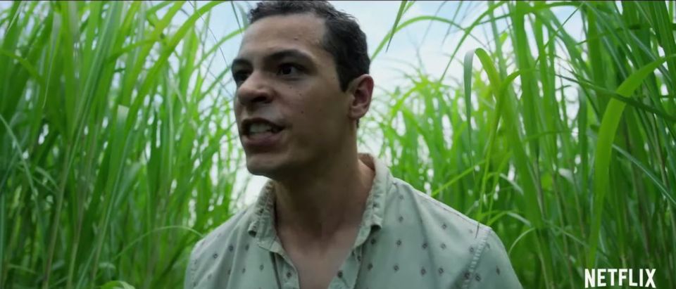 Watch The Trailer For The Upcoming Netflix Movie ‘in The Tall Grass The Daily Caller 