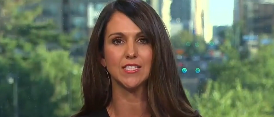 Lauren Boebert discusses O'Rourke confrontation and Second Amendment (Fox News screengrab)