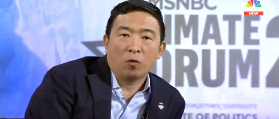 Andrew Yang appears on an MSNBC climate forum. Screen Shot/MSNBC.