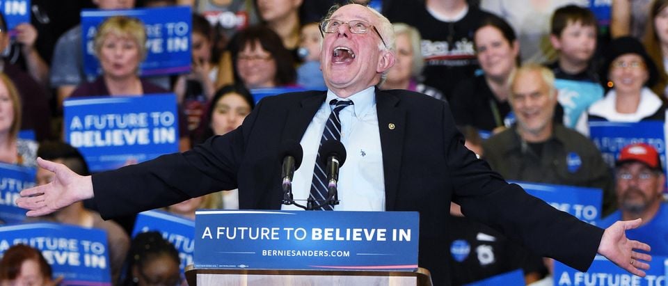 Democratic presidential candidate Sen. Bernie Sanders jokes around as he speaks during a campaign rally at Bonanza High School on Feb. 14, 2016 in Las Vegas, Nevada. (Photo by Ethan Miller/Getty Images)