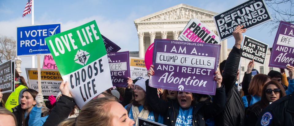 March-for-Life-e1570196721934.jpg