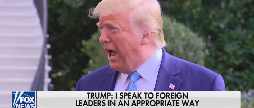Trump Says China Investigation On Biden Has Nothing To Do With Trade War/ YouTube/ Daily Caller
