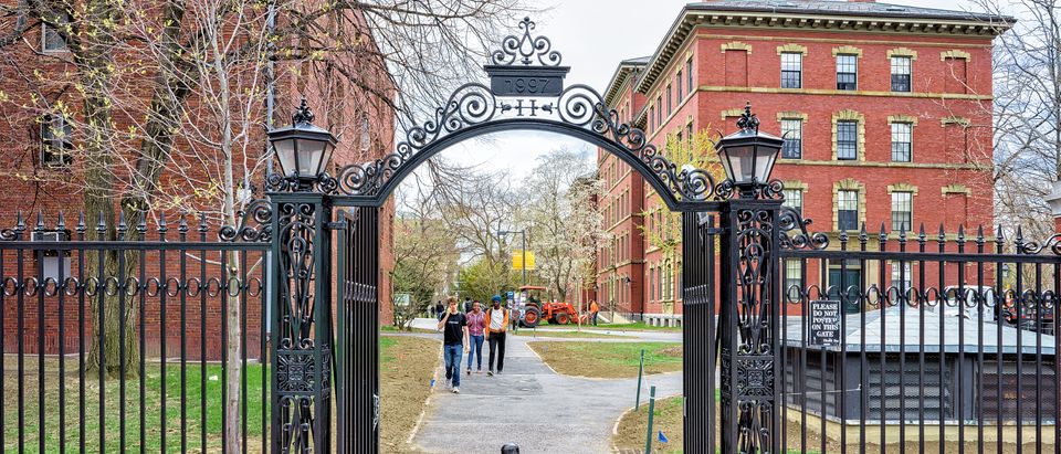 Harvard University. Shutterstock