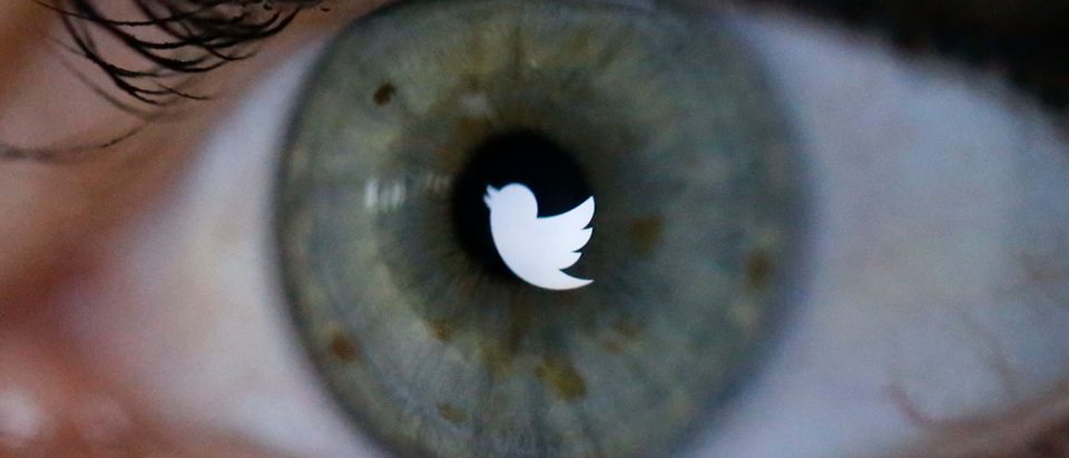 An illustration picture shows the Twitter logo reflected in the eye of a woman in Berlin, November 7, 2013. Twitter Inc priced its initial public offering above its expected range to raise at least $1.8 billion, in a sign of strong investor demand for the most highly anticipated U.S. public float since Facebook Inc. REUTERS/Fabrizio Bensch