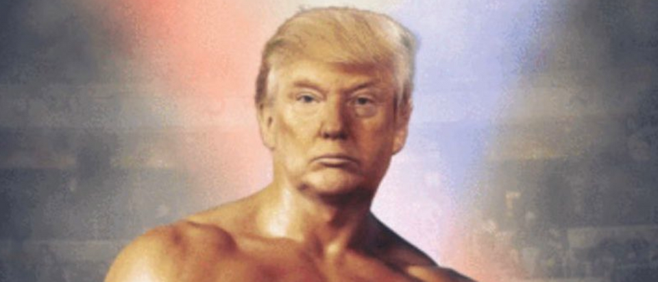 Donald Trump Fighter
