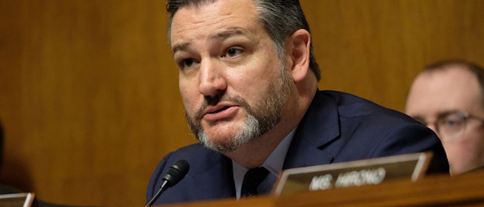 Sen.Ted Cruz (R-TX) speaks at a Senate Judiciary Committee hearing on April 10, 2019 in Washington, DC