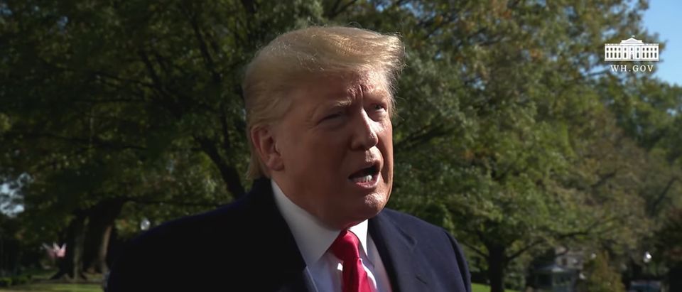 President Donald Trump speaks to reporters at the White House, Nov. 3, 2019. (YouTube screen capture/White House)