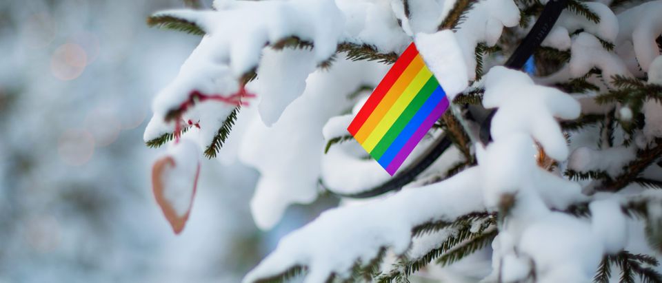 The Unicode Consortium announced Wednesday that a variety of transgender inclusive emoji will be added to platforms like Apple and Android in 2020, including an emoji of a gender neutral Santa. The Art of Pics, Shutterstock