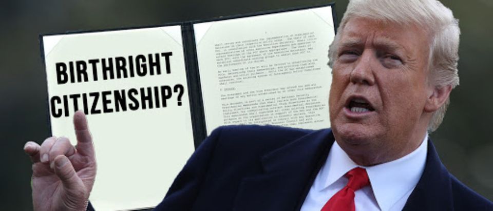 President Trump is going after birthright citizenship. (Daily Caller)