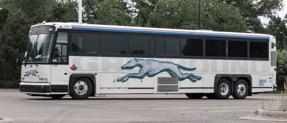 Greyhound, the largest bus company in the U.S., announced Friday it will no longer allow Border Patrol agents to conduct immigration checks on its buses without a warrant. Shutterstock