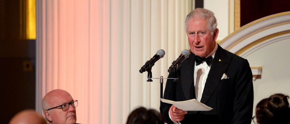 Prince Charles, Prince of Wales makes a speech as he attends a dinner in aid of the Australian bushfire relief and recovery effort at Mansion House on March 12, 2020 in London, England. (Eamonn M. McCormack - WPA Pool/Getty Images)