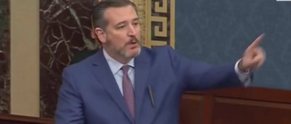 Ted Cruz discusses coronavirus on the Senate floor. Screenshot/C-Span