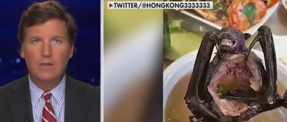 Tucker Carlson criticizes China for reopening wet markets (Fox News screengrab)