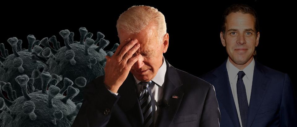 Coronavirus, Joe Biden, Hunter Biden (Getty Images, Daily Caller)