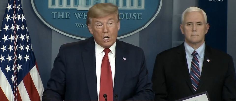 President Trump delivers a press briefing. (Screenshot/Youtube/White House)