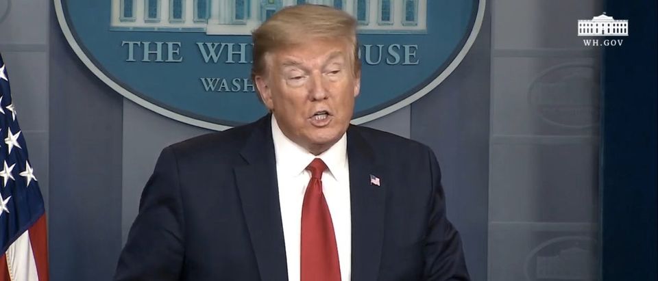 President Donald Trump delivers a press briefing. (Screenshot/YouTube/White House)