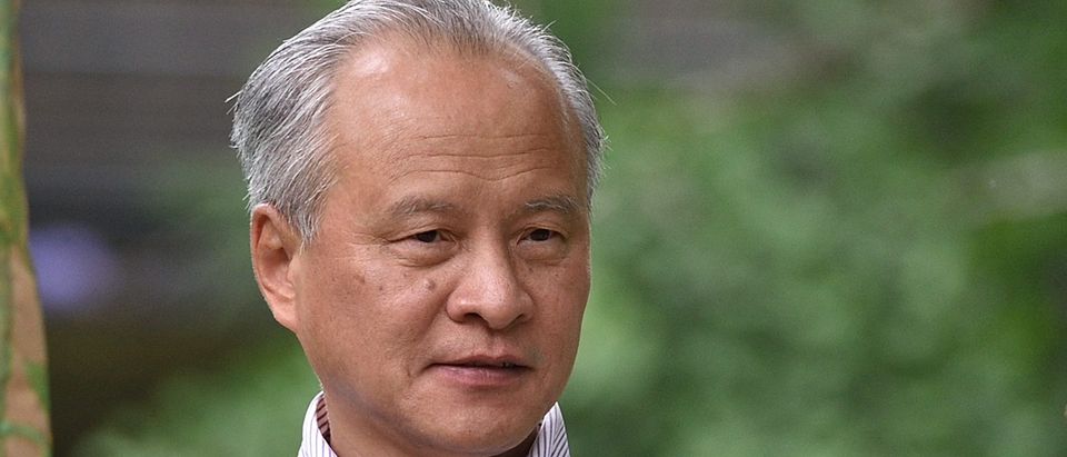 An August 23, 2014 photo shows China's Ambassador to the US, Cui Tiankai, attending a birthday ceremony for Bao Bao the baby Panda at the National Zoo on August 23, 2014 in Washington, DC. (MANDEL NGAN/AFP via Getty Images)