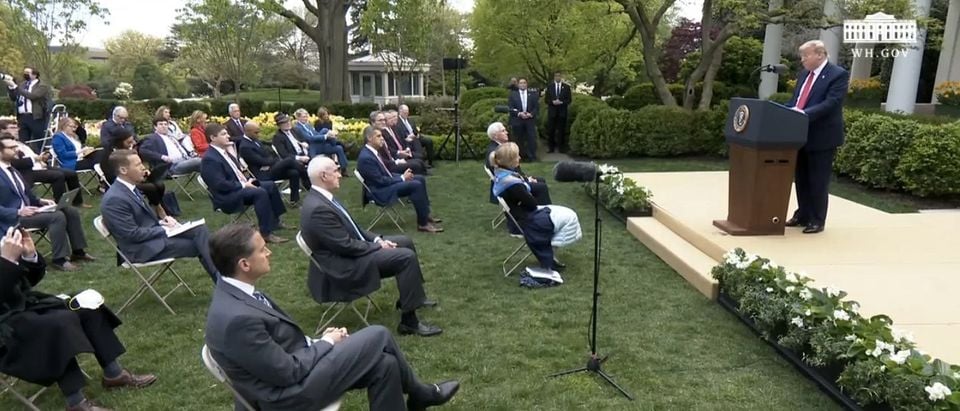 President Donald Trump delivers a press briefing in the rose garden. (screenshot/YouTube/White House)