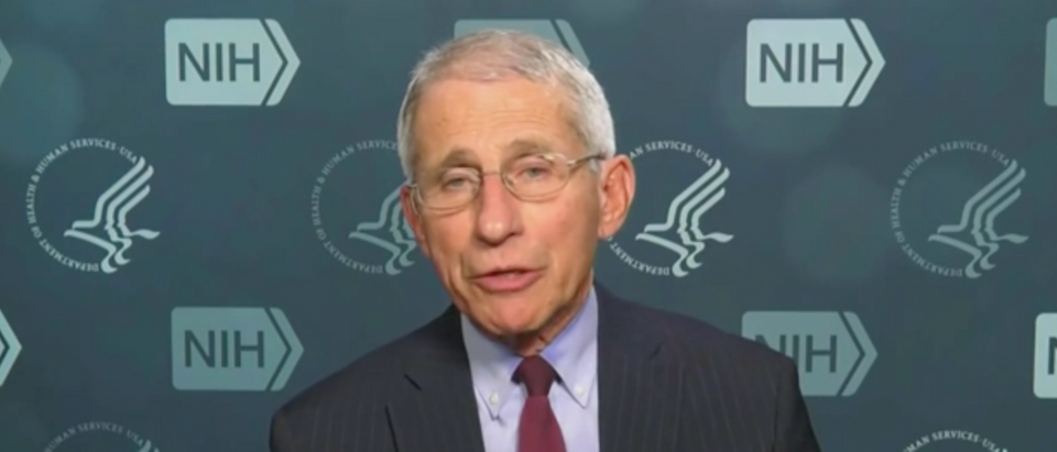 Dr. Anthony Fauci said that the administration looks at banning domestic travel "literally every day." (Screenshot CBS News)