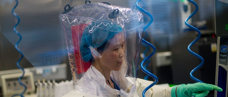 Chinese virologist Shi Zhengli is seen inside the P4 laboratory in Wuhan, capital of China's Hubei province, on February 23, 2017. - The P4 epidemiological laboratory was built in co-operation with French bio-industrial firm Institut Merieux and the Chinese Academy of Sciences. (Photo by Johannes EISELE / AFP) (Photo by JOHANNES EISELE/AFP via Getty Images)