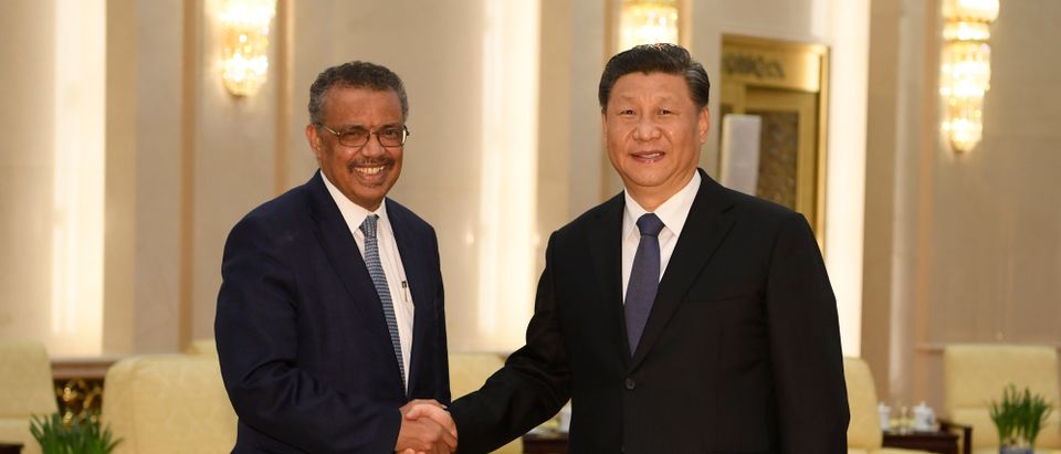 Director General Of The World Health Organization, Tedros Adhanom, Visit To Beijing