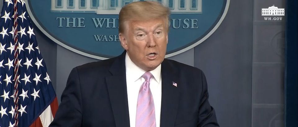 President Donald Trump delivers a press briefing. (Screenshot/YouTube/White House)