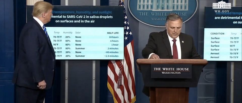 White House press briefing. (Screenshot/YouTube/White House)