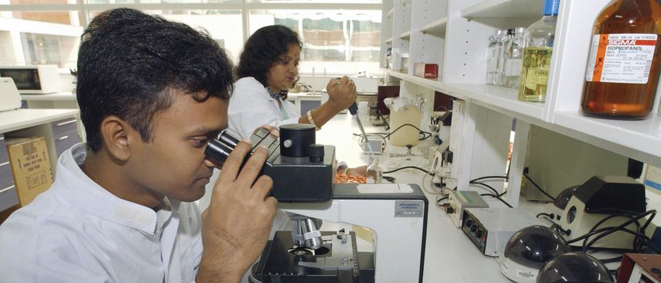 Indian scientists work in the laboratory of the new facility of British Pharmaceutical company AstraZeneca PLC in Bangalore 02 June 2003. The company opened a 40 million dollar research facility in the southern Indian city aimed at finding a treatment for Tuberculosis which is diagnosed in about two million people every year in Indian scientists work in the laboratory of the new facility of British Pharmaceutical company AstraZeneca PLC in Bangalore 02 June 2003. The company opened a 40 million dollar research facility in the southern Indian city aimed at finding a treatment for Tuberculosis which is diagnosed in about two million people every year in India and in more than eight million people worldwide, mostly in the developing world. (Indranil Mukherjee/AFP via Getty Images)
