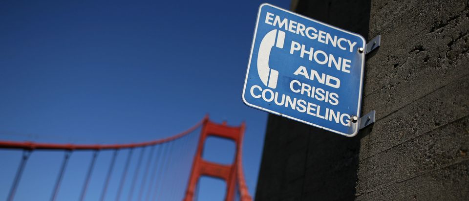 Board Approves Golden Gate Bridge Suicide Prevention Net