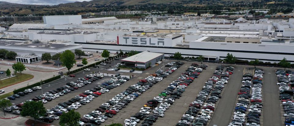 Elon Musk Opens Tesla's Fremont Plant, Ignoring State's Shelter In Place Orders