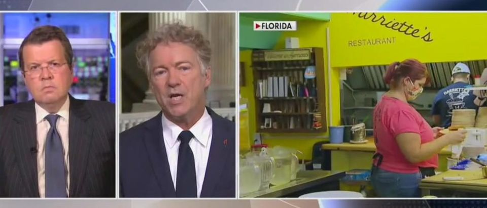 Rand Paul sounds off on coronavirus response (Fox News screengrab)