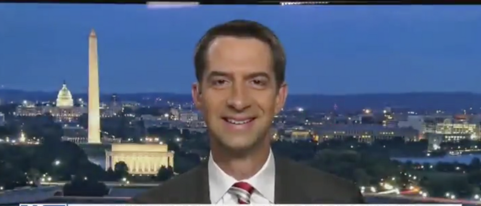 Tom Cotton flamed the NYT for apologizing after publishing his op-ed. (Screenshot Twitter the Daily Caller)