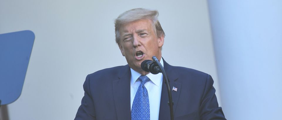 US President Donald Trump delivers remarks in front of the media in the Rose Garden of the White House in Washington, DC on June 1, 2020. - US President Donald Trump was due to make a televised address to the nation on Monday after days of anti-racism protests against police brutality that have erupted into violence.
