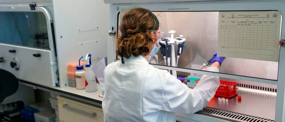 A scientist is pictured working during a visit by Britain's Prince William, Duke of Cambridge (unseen), to Oxford Vaccine Group's laboratory facility at the Churchill Hospital in Oxford, west of London on June 24, 2020, on his visit to learn more about the group's work to establish a viable vaccine against coronavirus COVID-19. (Photo by STEVE PARSONS/POOL/AFP via Getty Images)