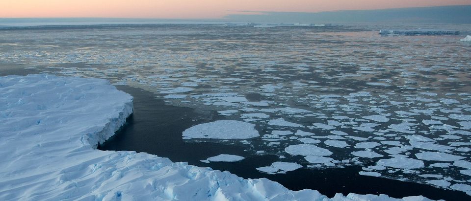 Global Warming Imapcts On Australian Antarctic Territory