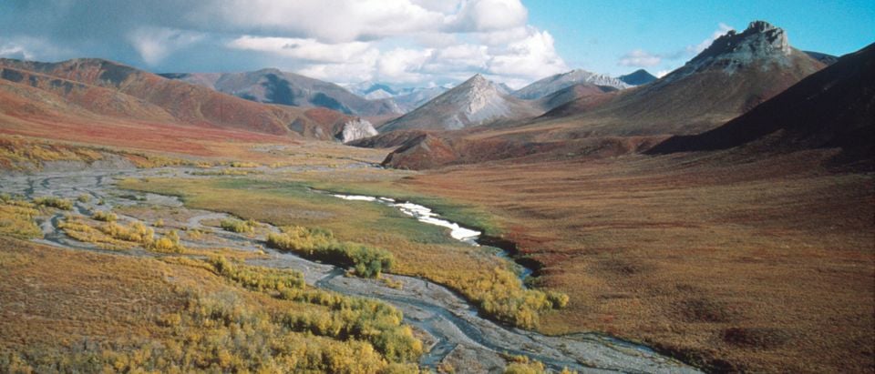 Arctic National Wildlife Refuge Eyed for Oil Drilling