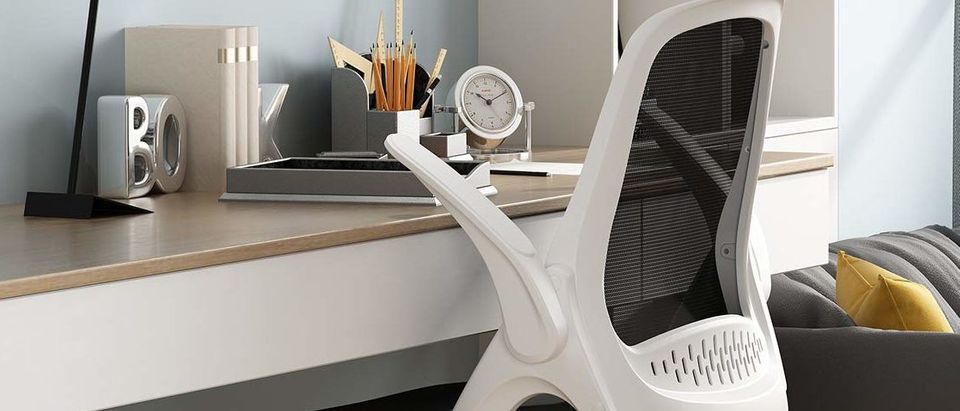 Remodeling Your Home Office? Don’t Forget These Essentials! | The Daily