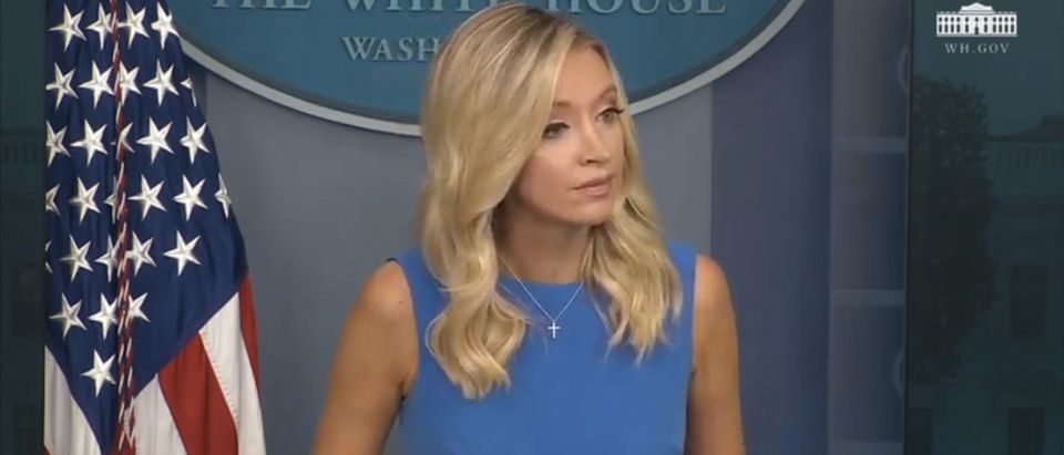 White House Press Secretary Kayliegh McEnany delivers press briefing. (Screenshot/YouTube/White House)