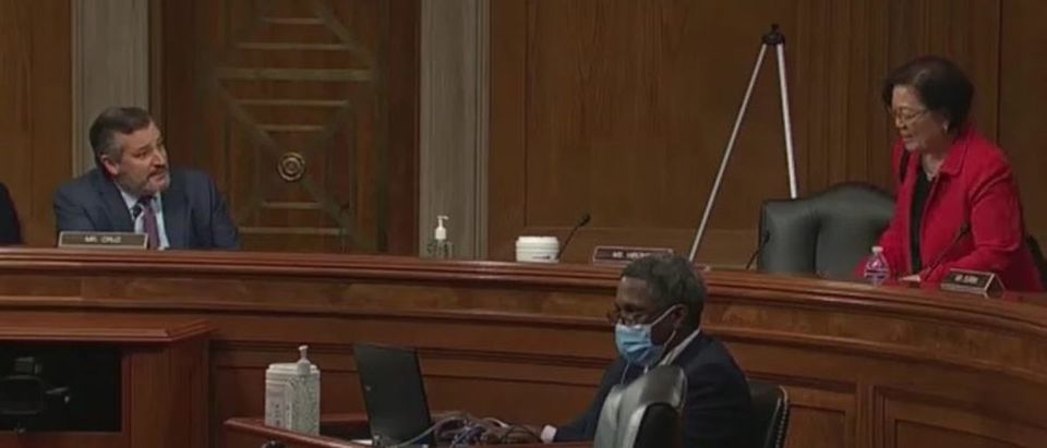 Ted Cruz confronts Hirono at hearing (CSPAN screengrab)
