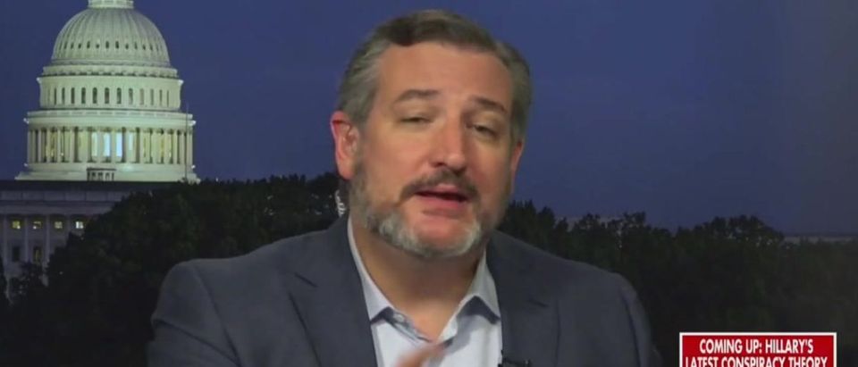 Ted Cruz criticizes Democratic subcommittee members (Fox News screengrab)
