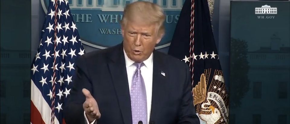 President Trump delivers a briefing. (Screenshot/YouTube/White House)
